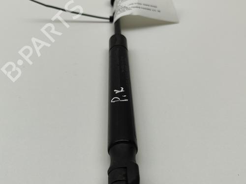 Hood lift support LAND ROVER RANGE ROVER EVOQUE (L538) 2.2 D 4x4 | BP26167974C139 