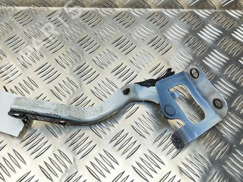 Hinge/Door check strap TOYOTA PRIUS (_W3_) 1.8 Hybrid (ZVW30) | BP28956177C146 