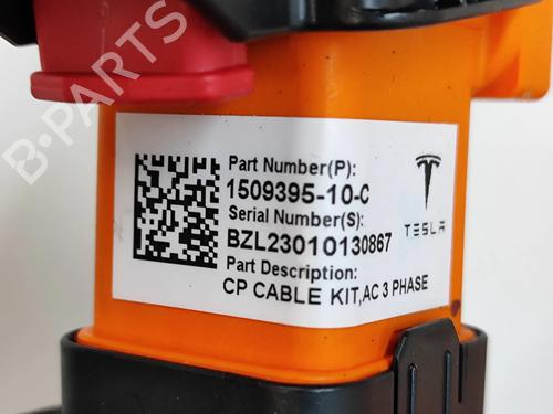 Cable TESLA MODEL Y (5YJY) EV Rear-Wheel Drive | BP30836833E12 