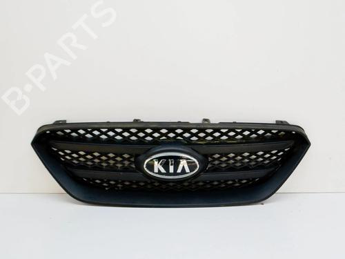 Used Grille Grille 10072416 10072416