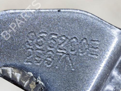 Hinge/Door check strap TESLA MODEL S (5YJS) P100D AWD | BP14628556C146 