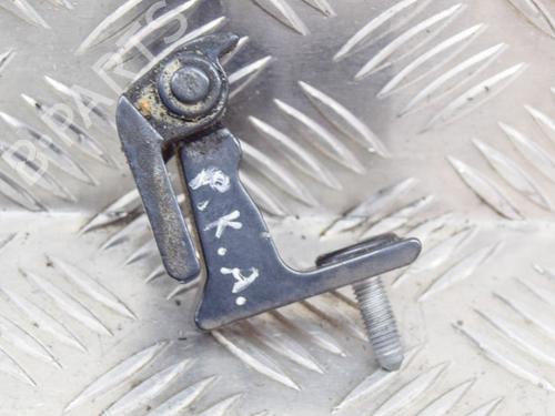 Hinge/Door check strap AUDI A4 B9 (8W2, 8WC) 2.0 TDI | BP14620713C146 