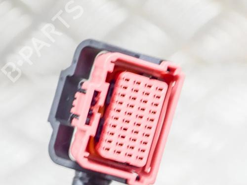 Wiring harness TESLA MODEL S (5YJS) 75 | BP14616073E16 - Image 9