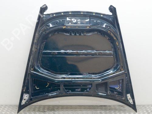 Hood VW PHAETON (3D1, 3D2, 3D3, 3D4, 3D6, 3D7, 3D8, 3D9) 5.0 V10 TDI 4motion | BP7697950C1 