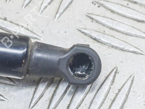Hood lift support AUDI Q5 (8RB) SQ5 TDI quattro | BP14623519C139 