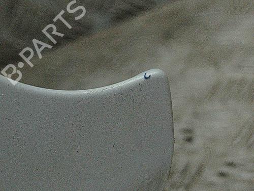 Tailgate MINI MINI COUNTRYMAN (F60) Cooper | BP29752817C6 