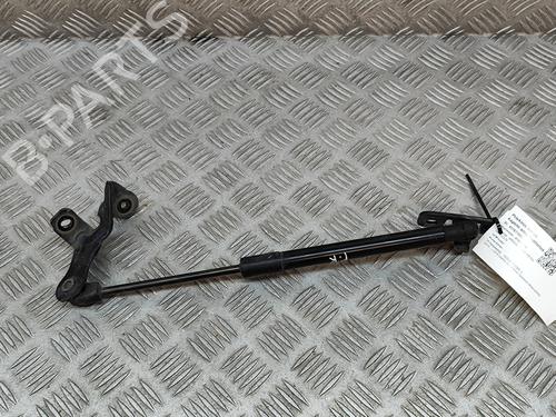 Used Hood lift support TESLA MODEL 3 (5YJ3) EV AWD (441 hp) 27765077