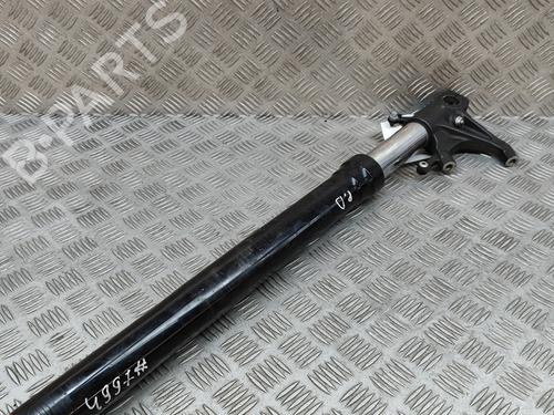 Other APRILIA MOTORCYCLES TUONO Tuono R (RR) | BP28555960O1 