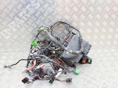 Used Wiring harness JAGUAR F-TYPE Coupe (X152) 3.0 SCV6 (340 hp) 14622136