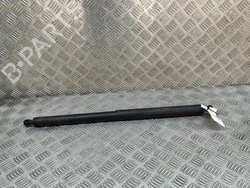 Amortiguador portón/maletero TESLA MODEL Y (5YJY) EV Rear-Wheel Drive (299 hp) 31314670