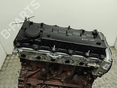 Engine FORD RANGER (TKE) 3.2 TDCi 4x4 | BP35919976M1 - Image 6
