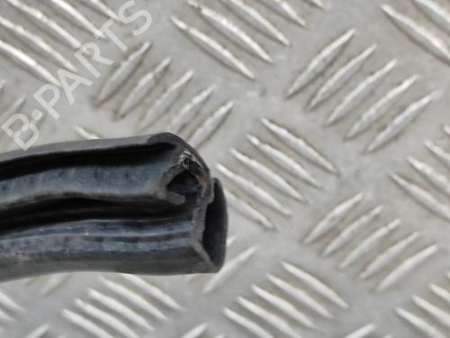 Rubber door seal NISSAN QASHQAI III (J12) 1.3 DIG-T | BP28554824C142 