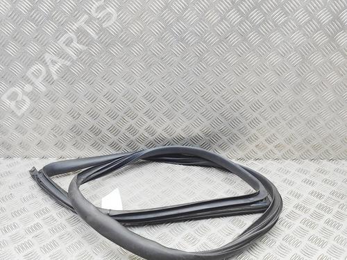 Gummiliste TESLA MODEL 3 (5YJ3) EV | BP37445418C142 - Image 4
