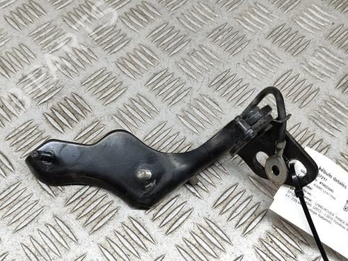 Hinge/Door check strap LAND ROVER RANGE ROVER SPORT II (L494) 3.0 SDV6 4x4 | BP28551802C146 