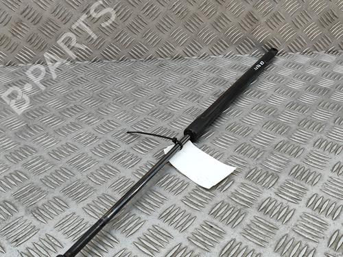 Tailgate lift support MERCEDES-BENZ VITO Tourer (W447) 114 CDI / 114 BlueTEC (447.701, 447.703, 447.705) | BP22351967C138