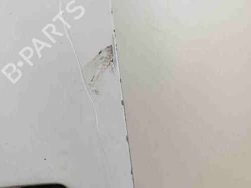 Left front door OPEL MOVANO B Van (X62) 2.3 CDTI FWD (FV) | BP29920141C2