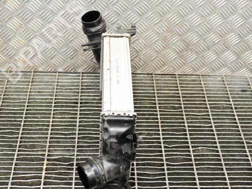 Intercooler NISSAN X-TRAIL III (T32_, T32R, T32RR) 1.6 DIG-T (T32) | BP6866862M30 