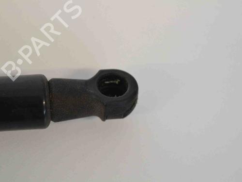 Hood lift support RENAULT GRAND SCÉNIC III (JZ0/1_) 1.5 dCi (JZ09, JZ0D, JZ10, JZ14, JZ1G, JZ29, JZ2C) | BP30233227C139 