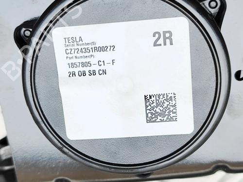 Rear left seatbelt TESLA MODEL 3 (5YJ3) EV | BP33697645I29 - Image 7