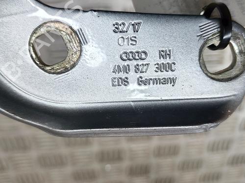 Hinge/Door check strap AUDI Q7 (4MB, 4MG, 4MQ) 3.0 TDI quattro | BP26405564C146 