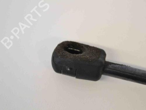 Hood lift support RENAULT GRAND SCÉNIC III (JZ0/1_) 1.5 dCi (JZ09, JZ0D, JZ10, JZ14, JZ1G, JZ29, JZ2C) | BP30233227C139 