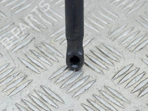 Hood lift support TESLA MODEL S (5YJS) 60 | BP14627433C139 