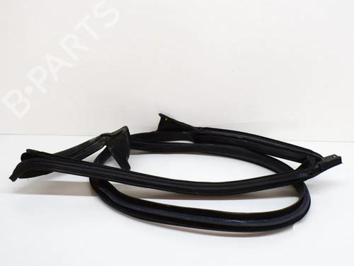 Gummiliste TESLA MODEL 3 (5YJ3) EV | BP27749062C142 - Image 2