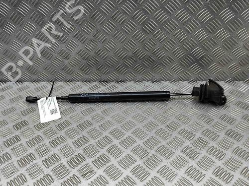 Hinge/Door check strap PORSCHE PANAMERA (970) 3.0 S E-Hybrid | BP29373496C146 