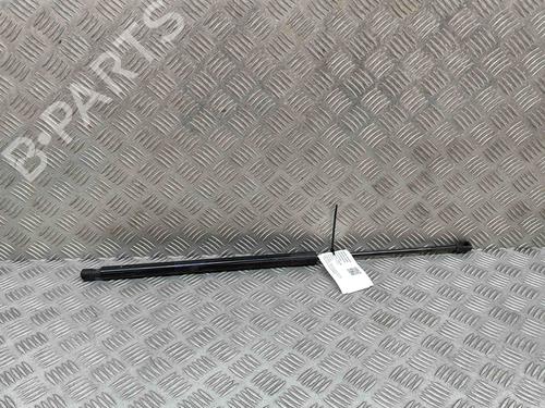 Used Tailgate lift support MERCEDES-BENZ VITO Tourer (W447) 114 CDI / 114 BlueTEC (447.701, 447.703, 447.705) (136 hp) 22351967