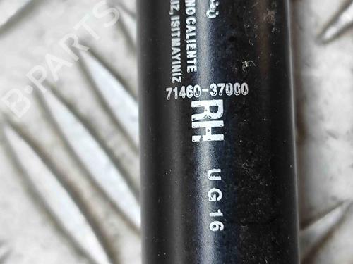 Tailgate lift support SSANGYONG KORANDO (C300) E-Motion | BP27776790C138 