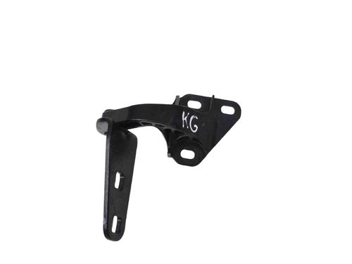 Used Hinge/Door check strap BMW i8 (I12) hybrid (231 hp) 30282455