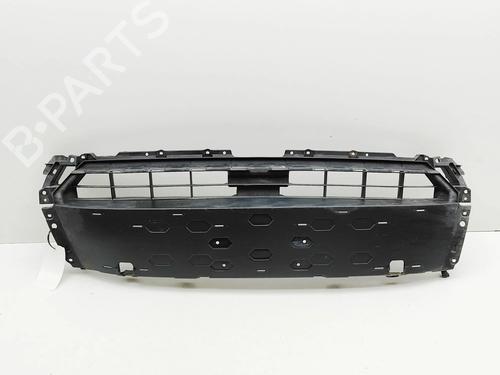 Used Grille Grille AUDI TT (FV3, FVP) 2.5 RS TFSI quattro (400 hp) 34249243 34249243