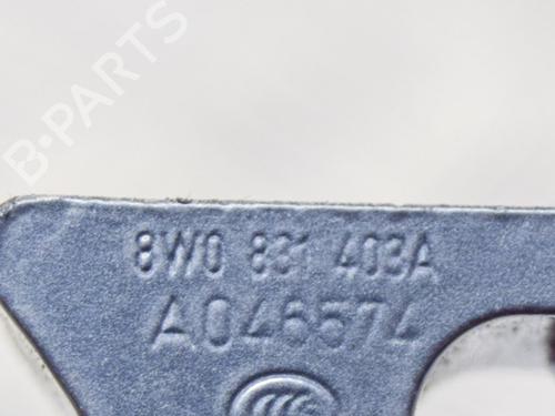 Hinge/Door check strap AUDI A4 B9 (8W2, 8WC) 2.0 TDI | BP14620712C146 