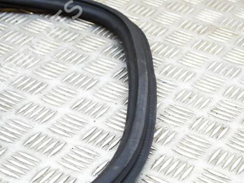Rubber door seal AUDI Q5 (FYB, FYG) 2.0 TDI quattro | BP14645860C142 