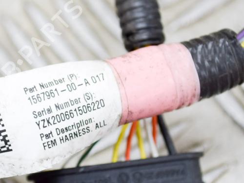 Wiring harness TESLA MODEL 3 (5YJ3) EV | BP36043614E16 - Image 8