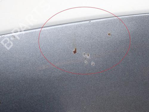 Hood CHRYSLER VOYAGER IV (RG, RS) 3.3 | BP10221060C1 