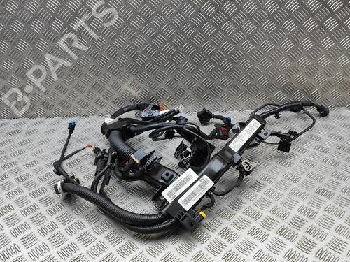 Ledningsnet KIA NIRO II (SG2) EV (204 hp) 31192492