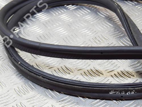 Rubber door seal BMW 7 (F01, F02, F03, F04) 740 d | BP14619595C142 