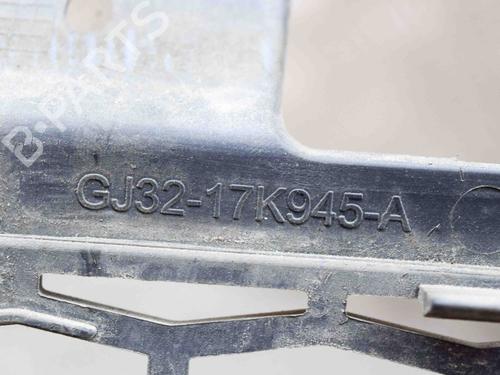 Grille LAND ROVER RANGE ROVER EVOQUE (L538) 2.0 D 4x4 | BP14642635C40 