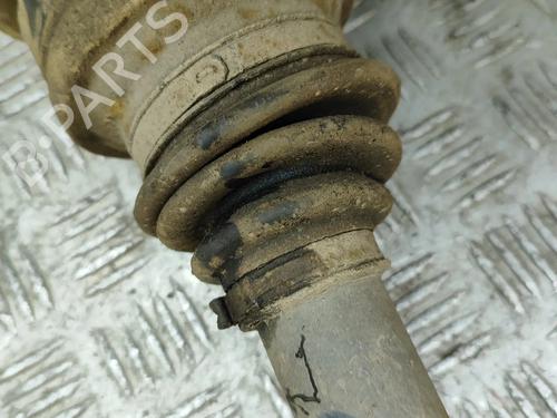  - Image 6