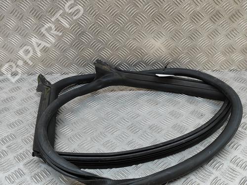 Rubber door seal AUDI A5 Sportback (F5A, F5F) 35 TFSI Mild Hybrid | BP28432235C142 