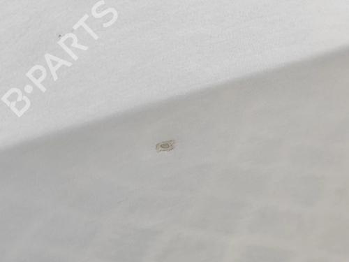 Left front door OPEL AMPERA (R12) EV 150 | BP31951117C2 