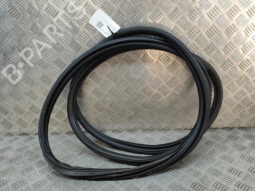 Gummiliste Gummiliste BMW X6 (F16, F86) xDrive 40 d (313 hp) 19743816 19743816