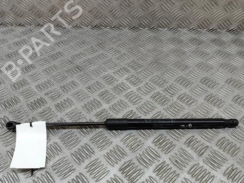 tailgate-lift-support-fiat-500-312_-2007-33369418 main image