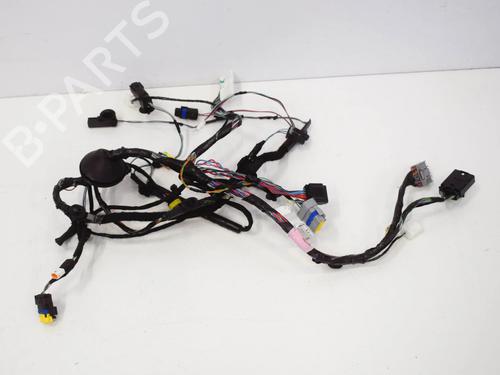 Used Wiring harness Wiring harness TESLA MODEL X (5YJX) 90D AWD (525 hp) 20231459 20231459