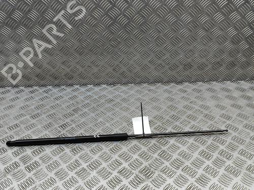 Used Hood lift support PEUGEOT 508 II (FB_, FH_, F3_) Hybrid 225 (F35GQU) (224 hp) 29975338