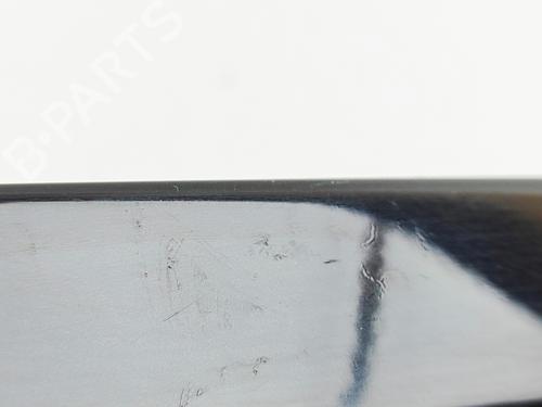 Tailgate trim LAND ROVER RANGE ROVER EVOQUE (L538) 2.2 D 4x4 | BP29753303C151 