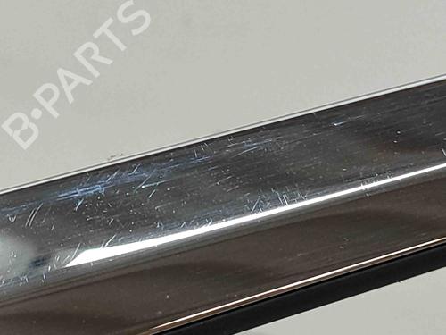 Door moulding trim TESLA MODEL X (5YJX) P100D AWD | BP28435662C150
