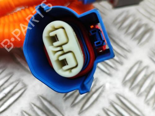 Ledningsnet TESLA MODEL X (5YJX) 90D AWD | BP31297379E16