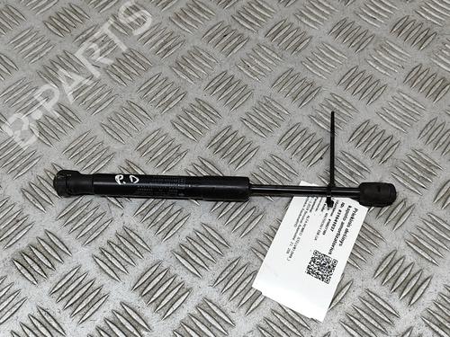 Hood lift support ALFA ROMEO STELVIO (949_) 2.0 Q4 (949.AXA2A) 00505354500|505354500
